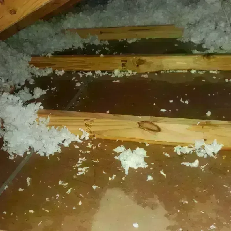 Attic Water Damage in Clarkston, MI