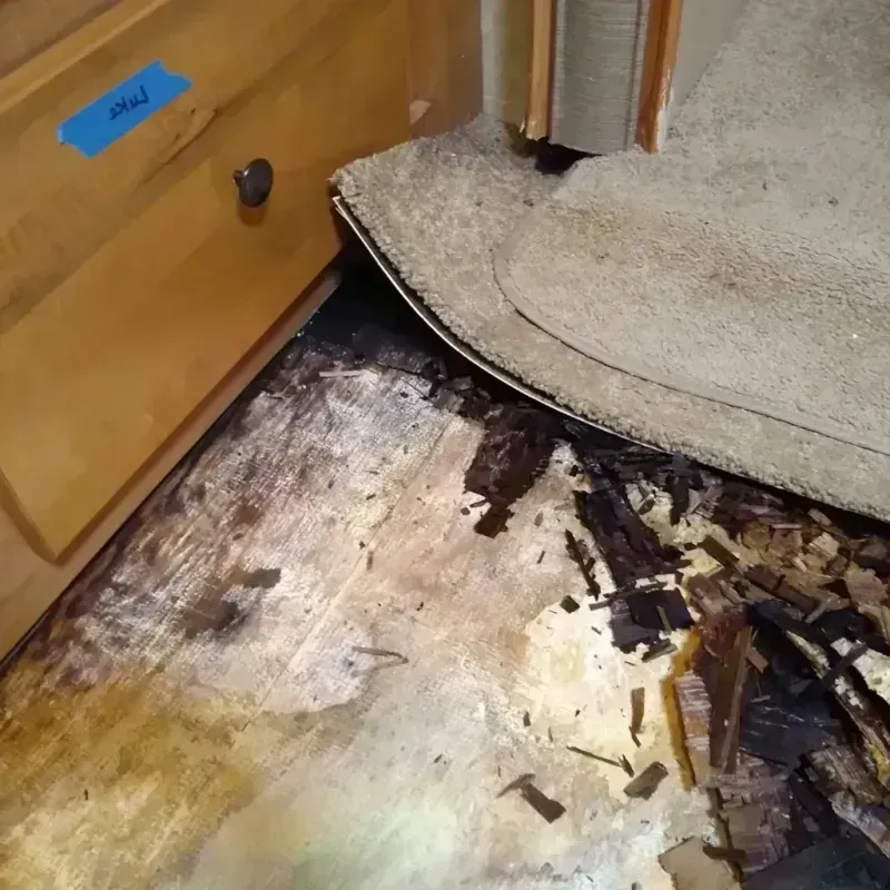 Best Wood Floor Water Damage Service in Clarkston, MI